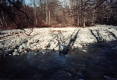 Shadows on the Little River bank