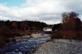 Foliage along the Little River