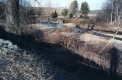 The Little River at Mayo House
