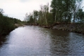 The Little River by Percy Shop