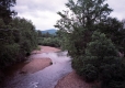 Trees Line the Little River