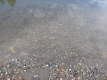 The Little River's Bed