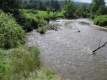 Vermont Greenery around the Little River