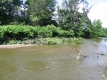 The Little River