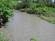 A Turn in the Little River