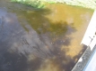 From a Bridge on the Little River