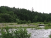 Grass and Pebbles on a river in North Wolcott
