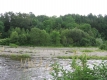 Grasses on a river in North Wolcott