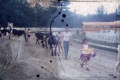 Cattle Cavalcade at Caledonia County Fair -- Lyndonville 