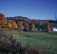Warden Farm Fall Foliage