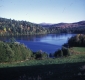 Warden Pond from north