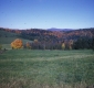 Warden Pond from southwest