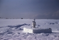 Snow sculpture at Lyndon Teachers College Winter Carnival 