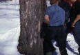 Sugaring Spooner and tapping, Vermont State School of Agriculture 