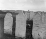 Cemetery Vista