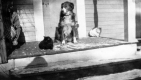 Bill, Betsy, and Robier