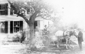 Horse and Carriage