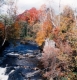 Greenbanks Hollow