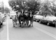 Team with Colts at Danville Parade