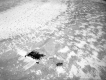 Cutting Ice