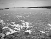Shelburne Bay
