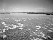 Airplane Views of Shelburne Bay