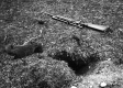 Woodchuck Shot by General Lathrop