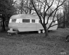 Camper Among Trees