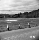 Rural Road