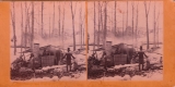Stereoscopic Views of Maple Sugaring