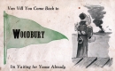 Woodbury Cartoon Postcard