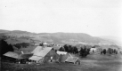 Farm Scene