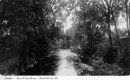 The Wells River 