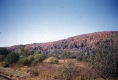 Section of Bog in Victory
