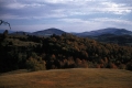 East Hill Peacham