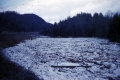 Ice on Passumpsic River 