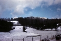 Warden Farm 