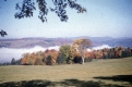 Darling Hill 