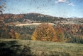 East Peacham Valley