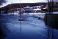 Flooded Road in Williamstown