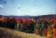 View West of Fall Foliage 