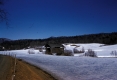 Covered Bridge Along Road in Marshfield