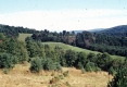 Warden Farm from Field