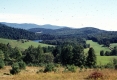Warden Farm from Leenen Field