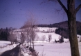 Dirt Road along Warden Farm