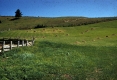 Warden Farm Hay