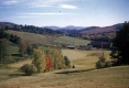 Hay fields in back of Warden Farm