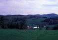 Warden Farm