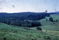 Warden Farm