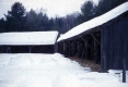 Walter Harvey Housesheds 